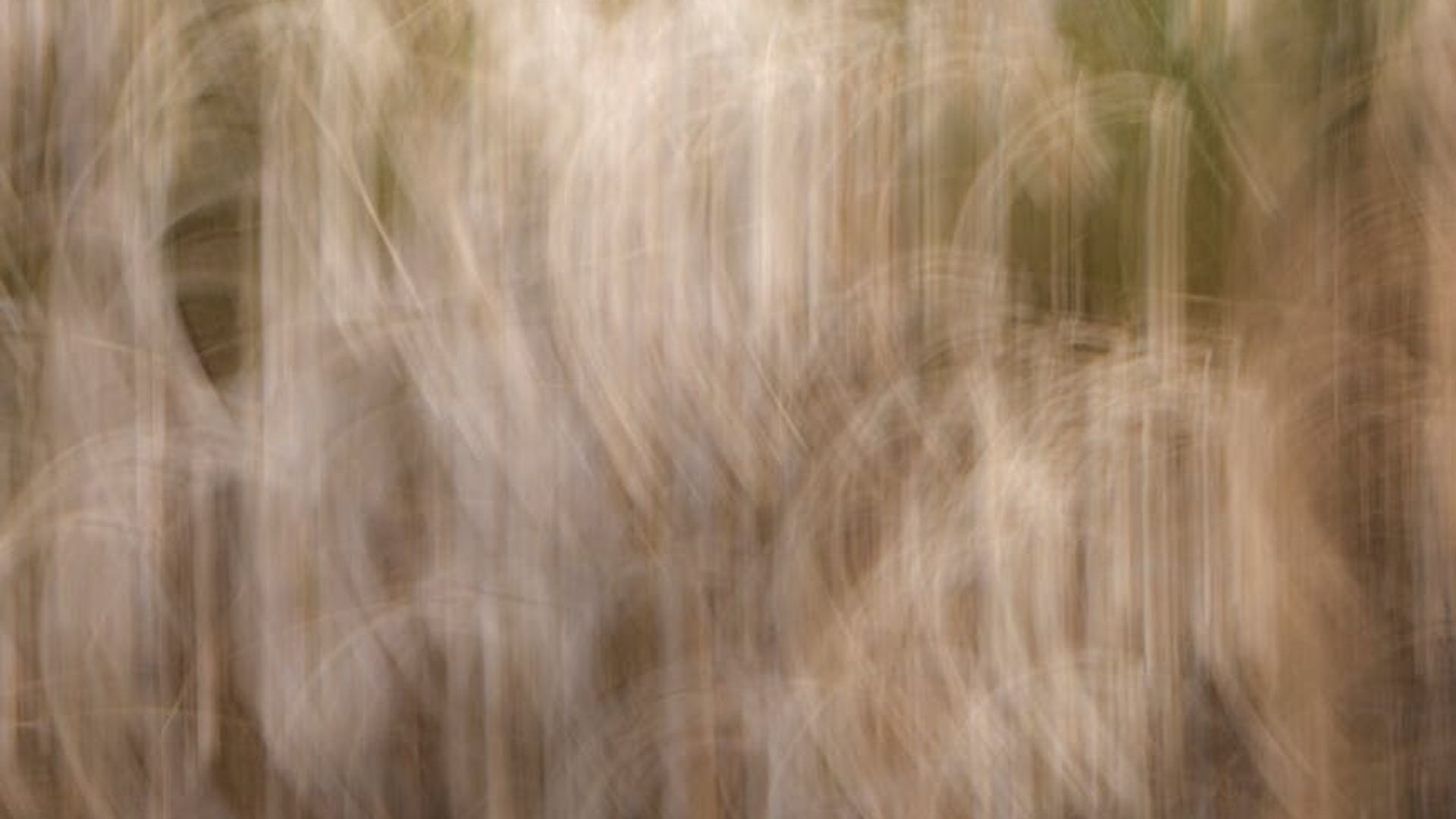 Abstract background with subtle motion blur lines.